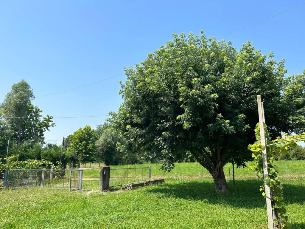Rustico / casale a Castelfranco veneto in Via Cervan - Foto 4