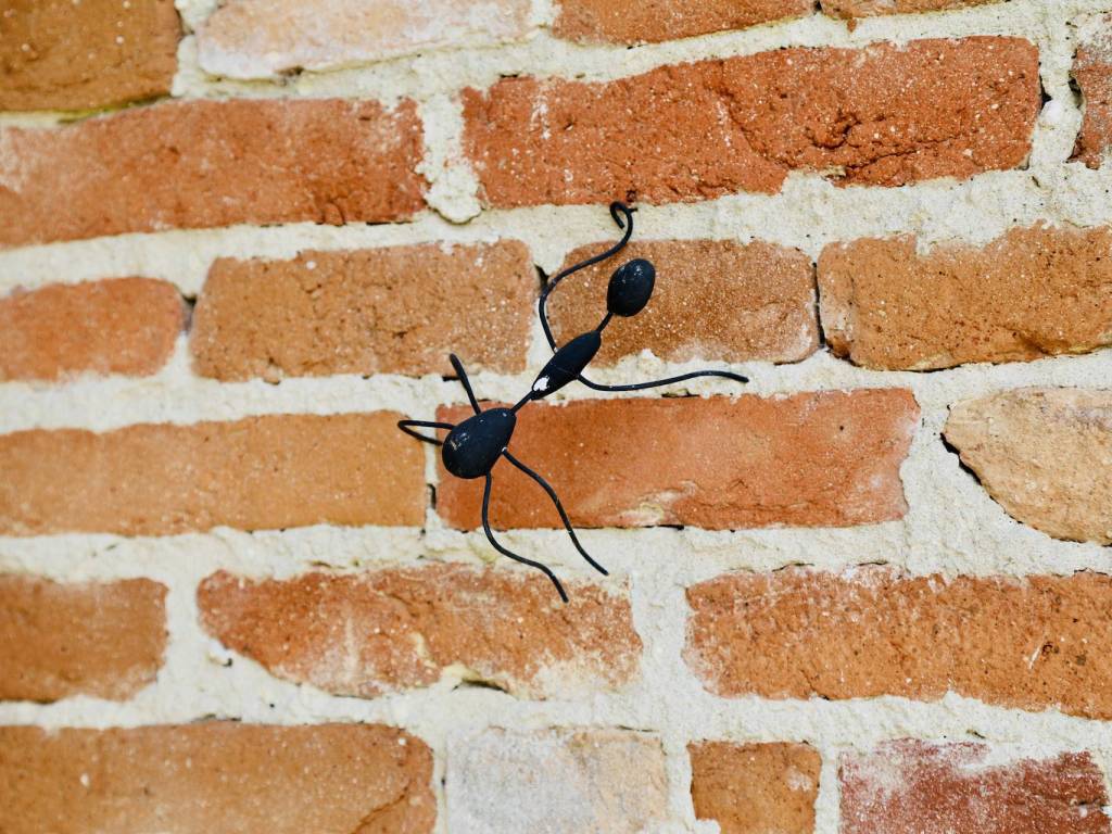 Rustico / casale a Buttigliera d'asti in Via San Bartolomeo - Foto 4