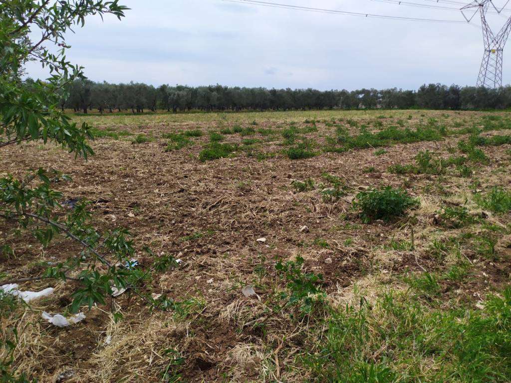 Terreno a Bitritto in Strada Extra Urbana Vado del Parco - Foto 2