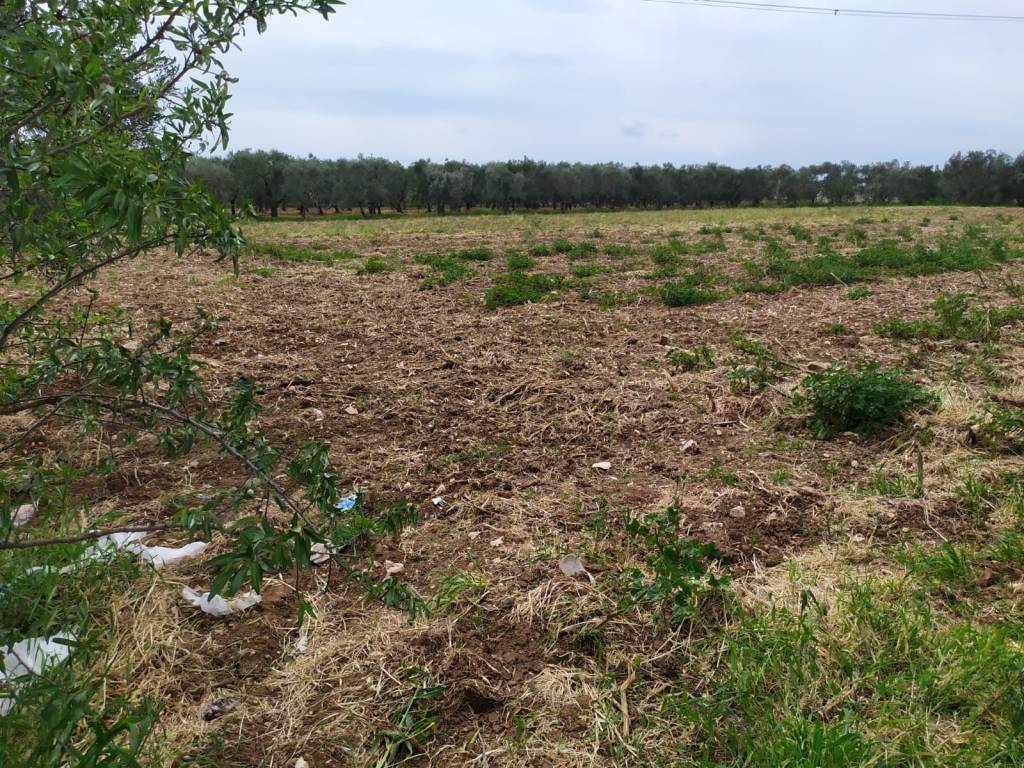 Terreno a Bitritto in Strada Extra Urbana Vado del Parco - Foto 3