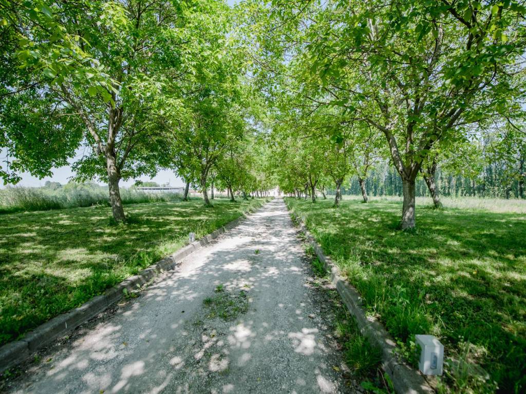 Rustico / casale a Mantova in Strada Cinciana, 8 - Foto 3