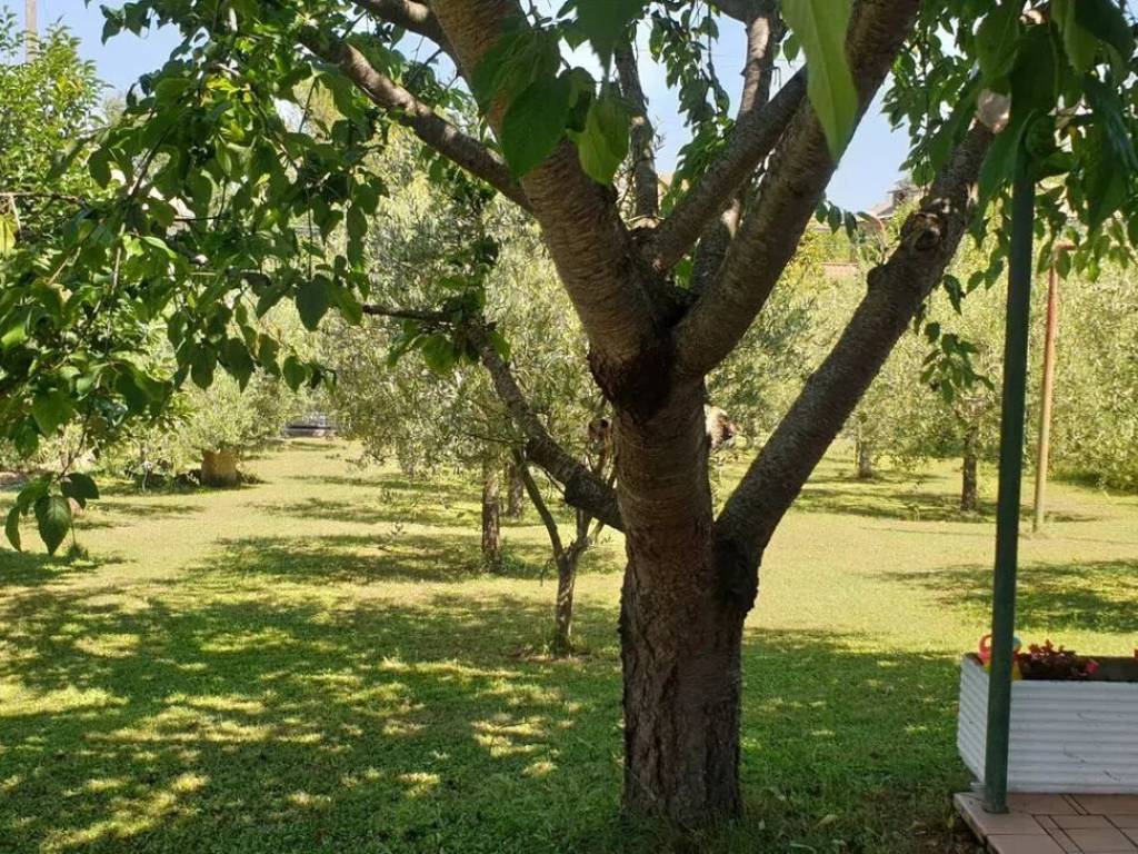 Villa a Venarotta in Strada Provinciale 93 Venarottese - Foto 2