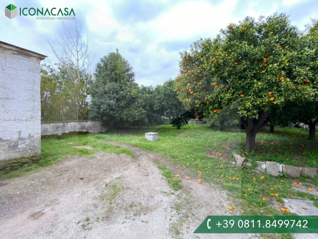 Appartamento a Pozzuoli in Viale degli Oleandri - Foto 2