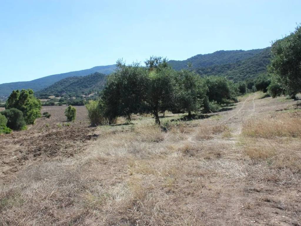 Terreno a Castiadas in Loc. San Pietro S.N.C. - Foto 2