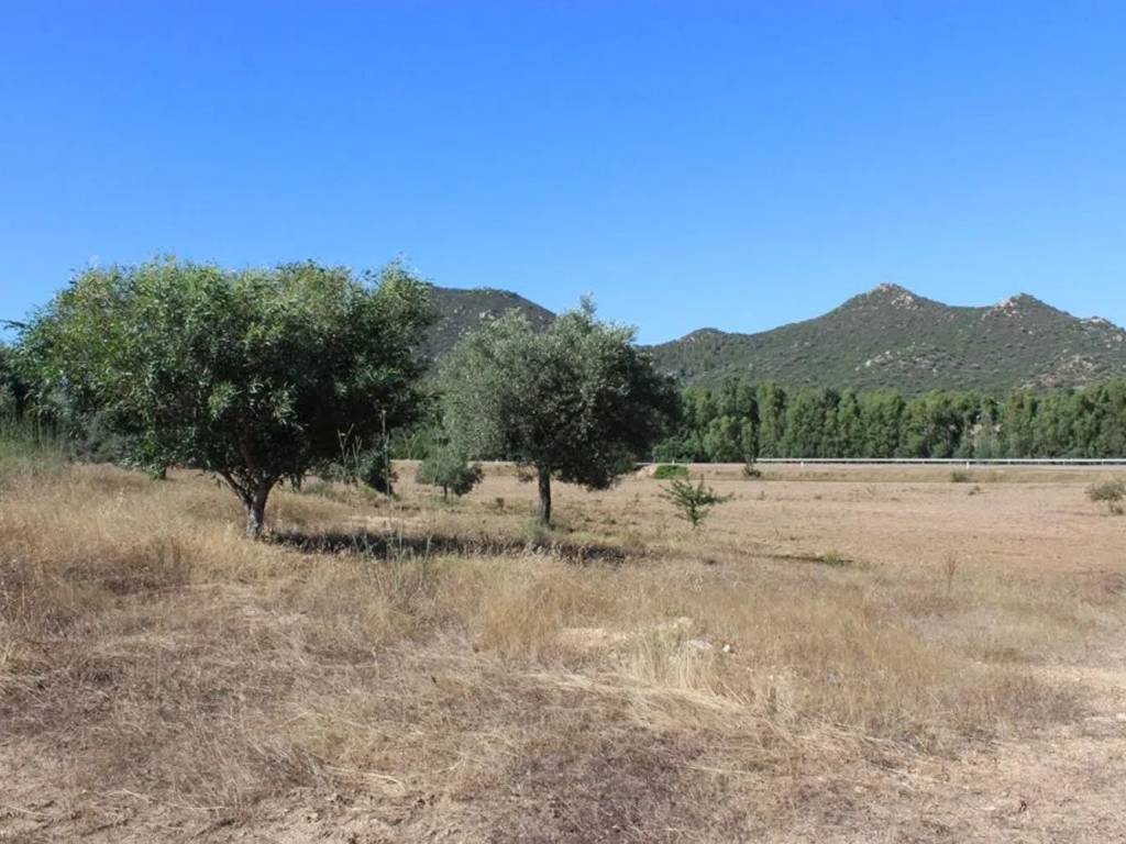 Terreno a Castiadas in Loc. San Pietro S.N.C. - Foto 3