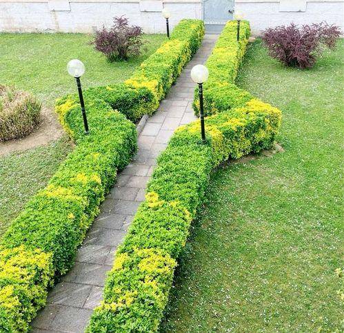 Villa a Capannoli - Foto 2