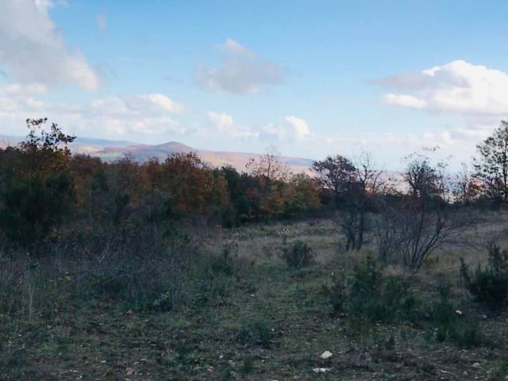 Terreno a Scansano - Foto 4