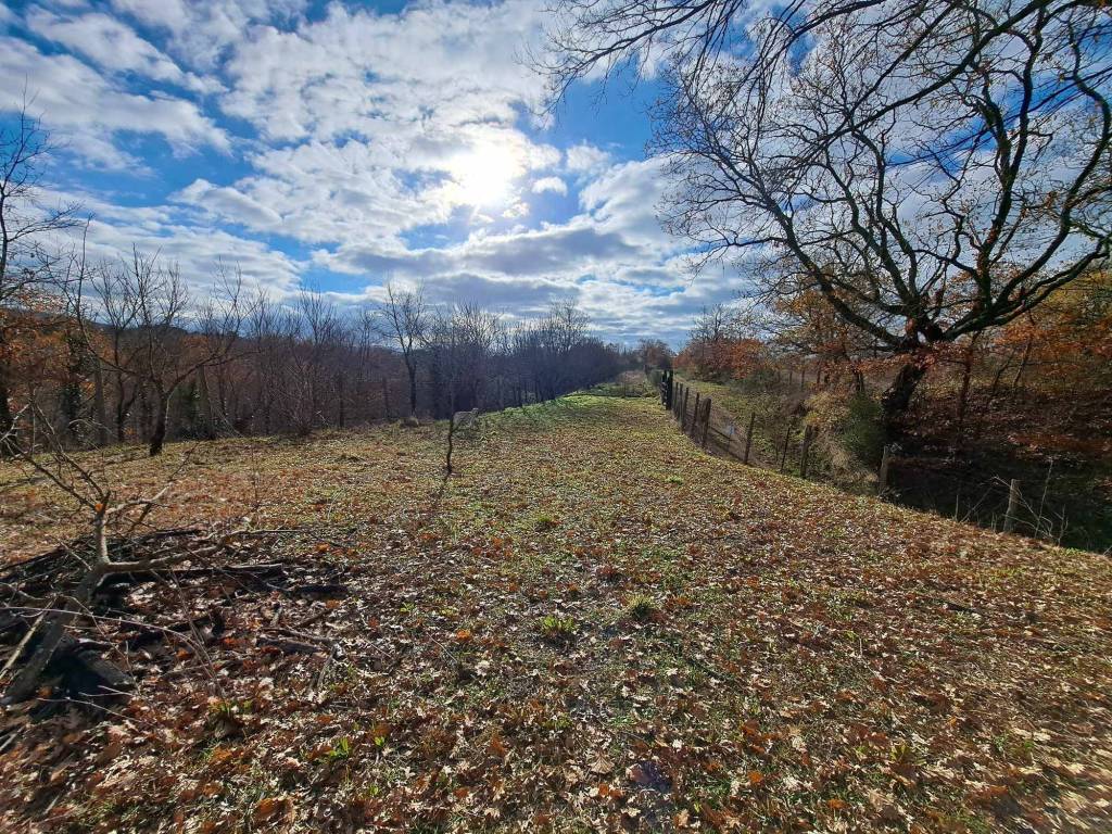 Terreno a Oriolo romano - Foto 3