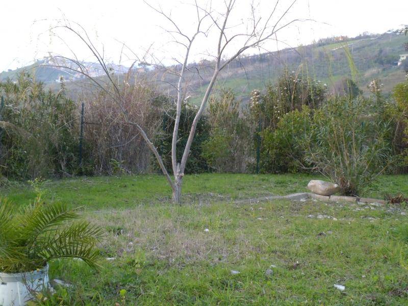 Terreno a Cupello - Foto 2