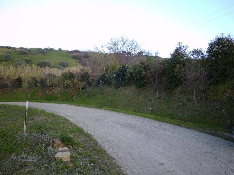 Terreno a Cupello - Foto 3