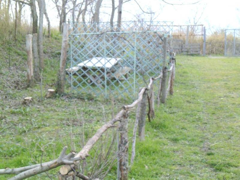 Terreno a Cupello - Foto 4