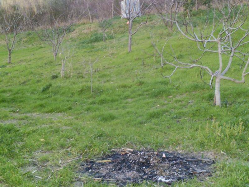 Terreno a Cupello - Foto 5