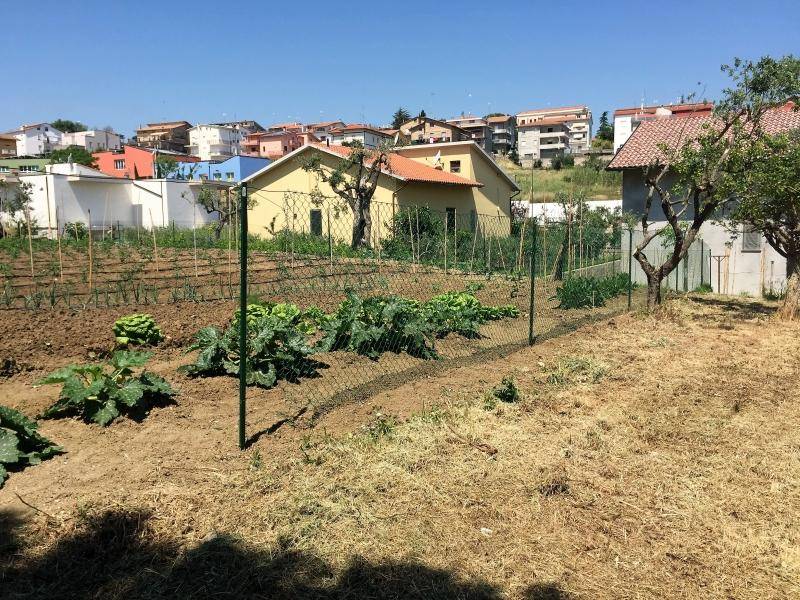 Terreno a Cupello - Foto 3