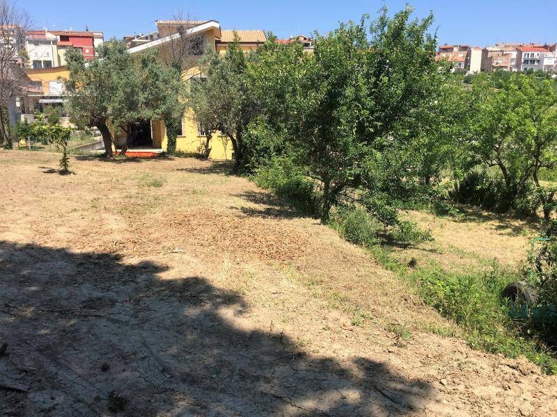 Terreno a Cupello - Foto 4