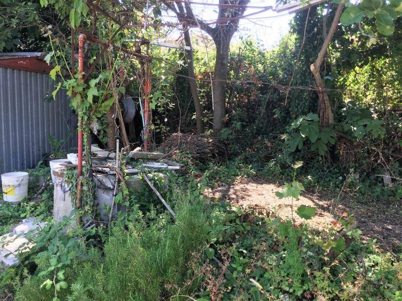 Terreno a Cupello - Foto 5