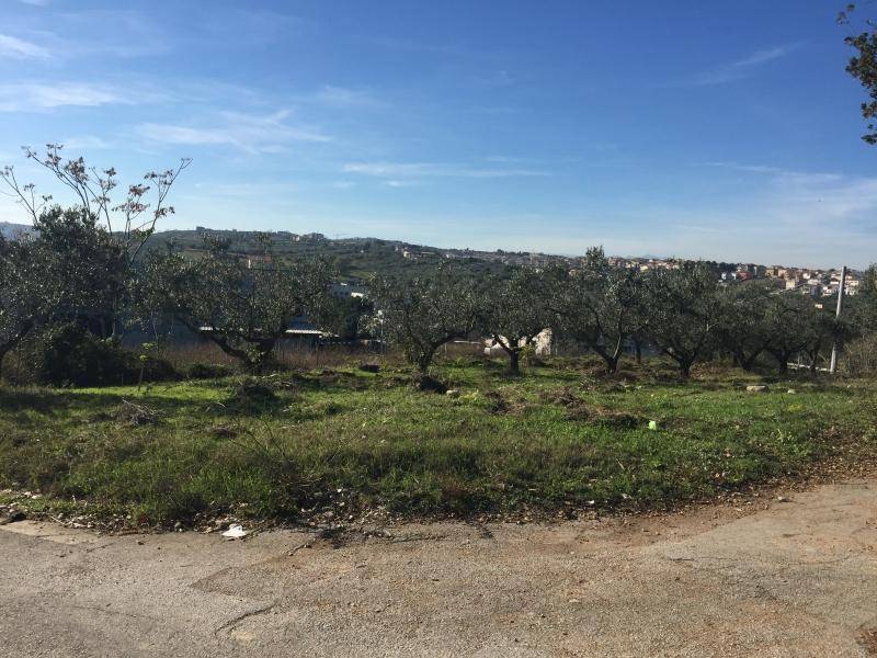 Immobile a Cupello - Foto 5