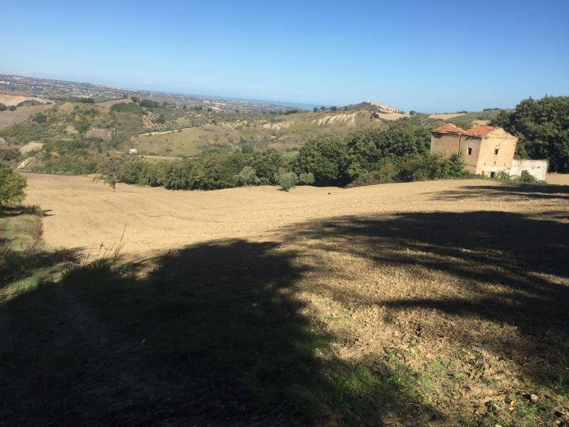 Terreno a Cupello - Foto 5