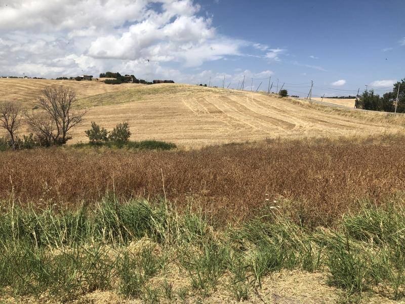 Appartamento a Gissi - Foto 5