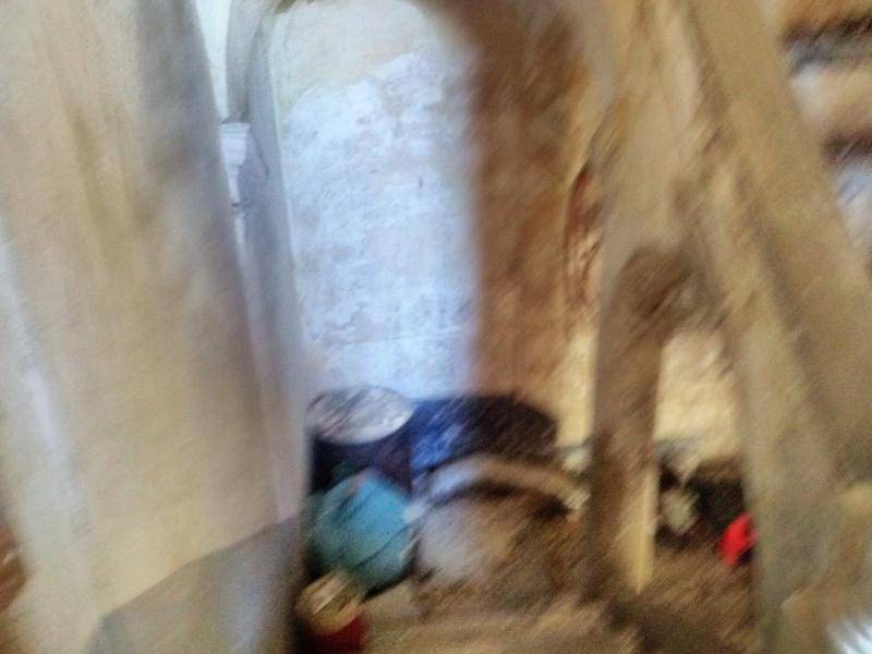 Rustico / casale a Gissi - Foto 3