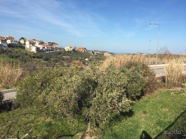 Terreno a Cupello - Foto 5