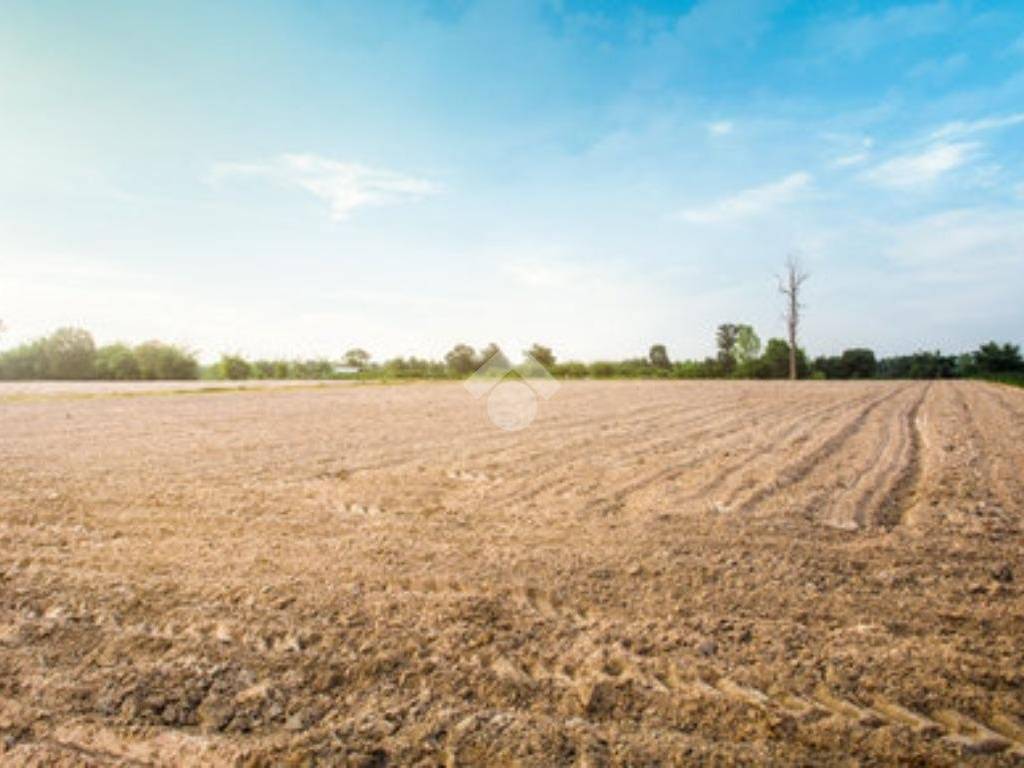 Terreno a Limena in Via Del Santo, 20 - Foto 2