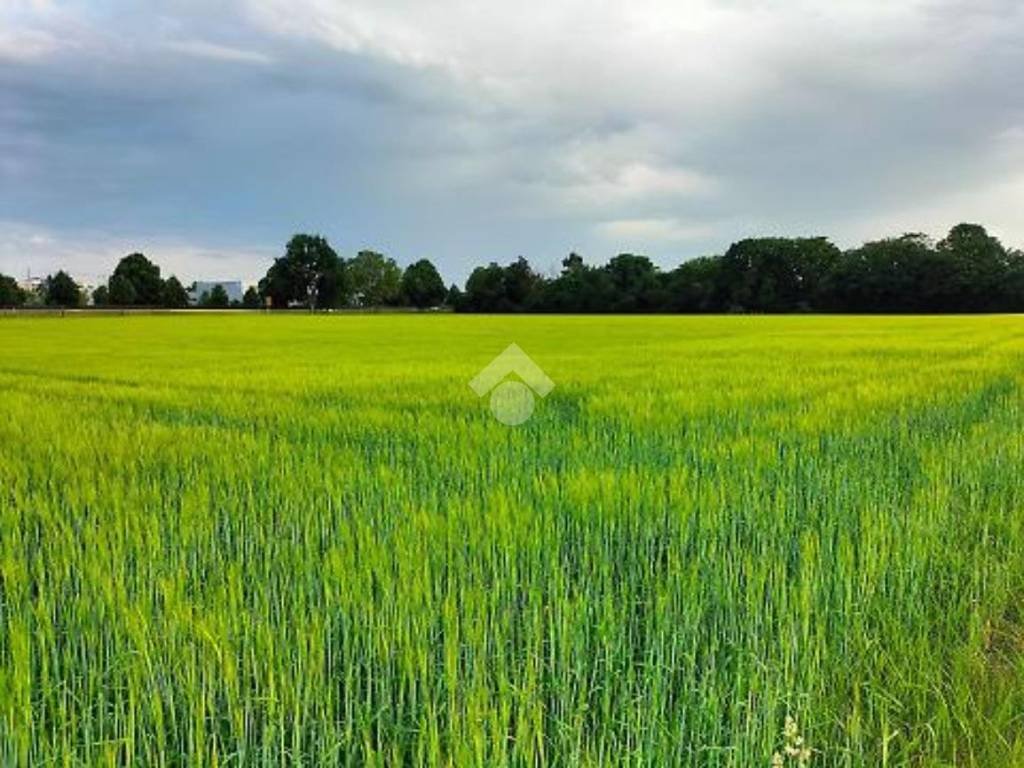 Terreno a Limena in Via Del Santo, 20 - Foto 4