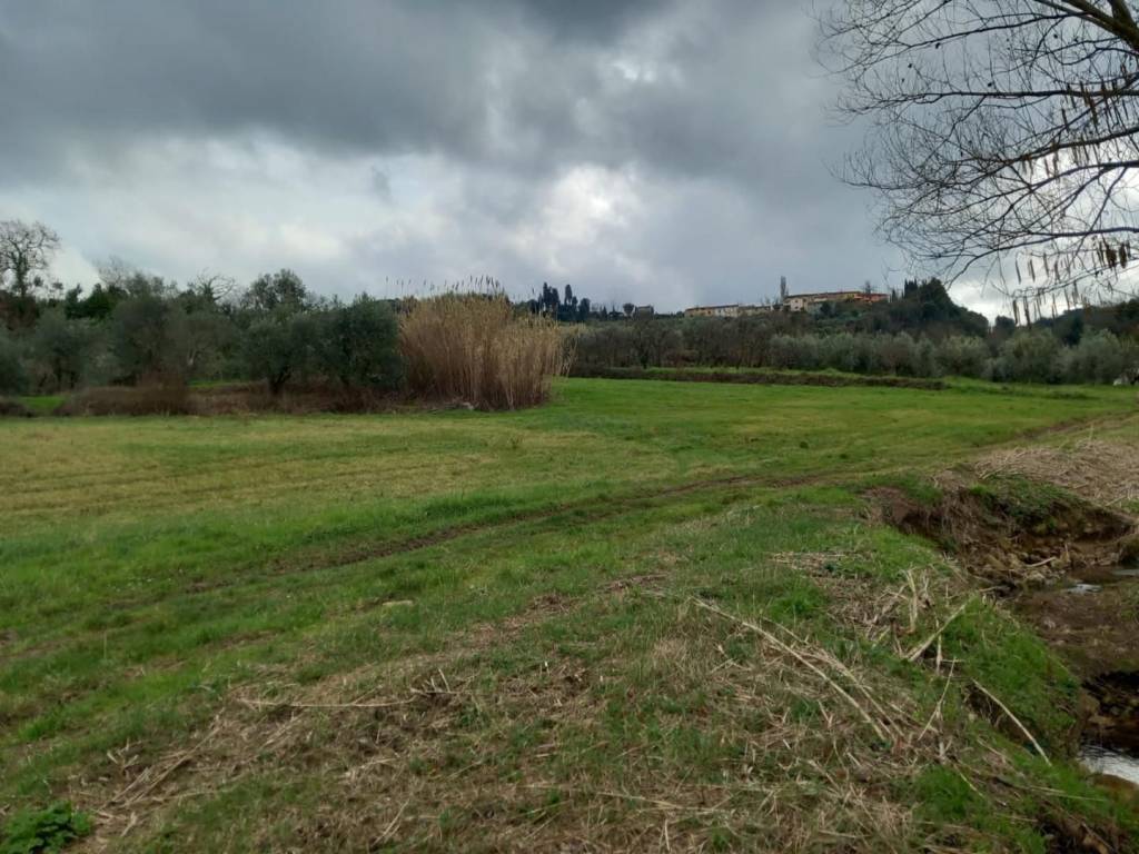 Terreno a Casciana terme lari - Foto 2
