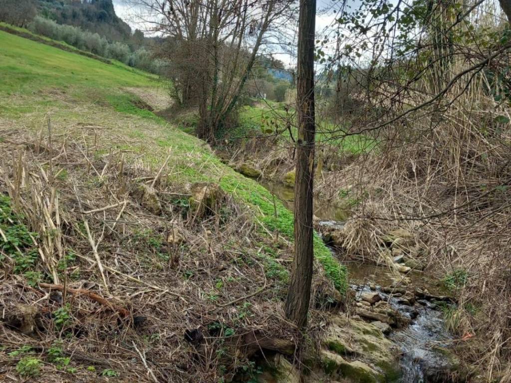 Terreno a Casciana terme lari - Foto 3