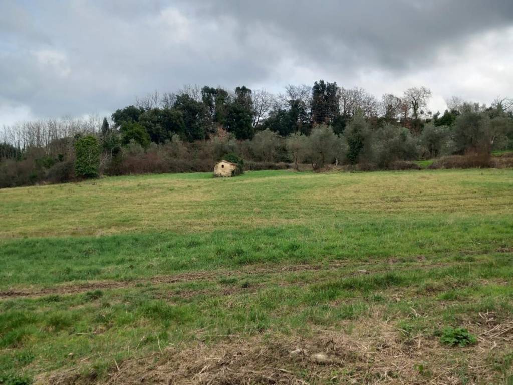 Terreno a Casciana terme lari - Foto 4