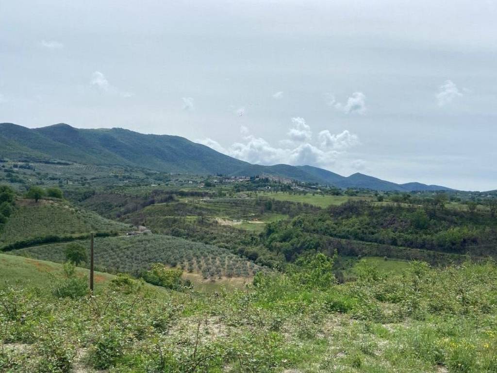 Villa a Montecchio - Foto 2