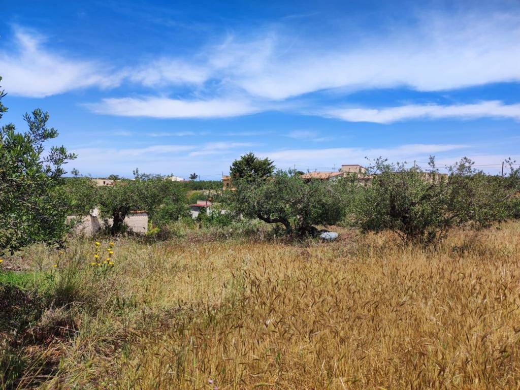 Terreno a Balestrate in Contrada Piano Loggia - Foto 4