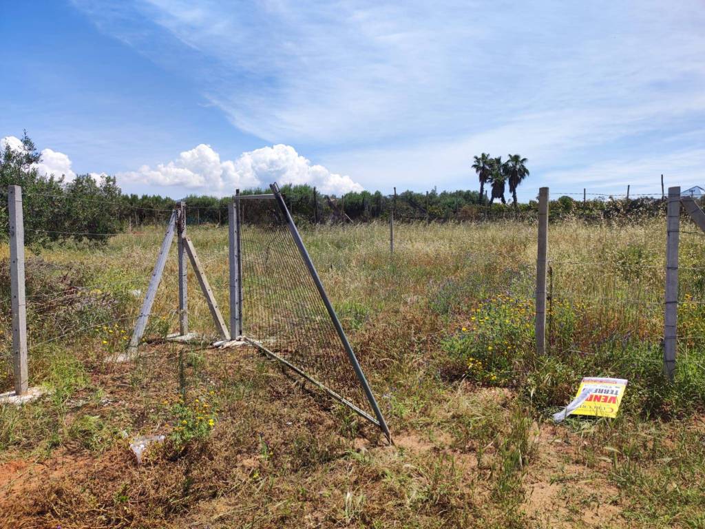 Terreno a Balestrate in Contrada Piano Loggia - Foto 5