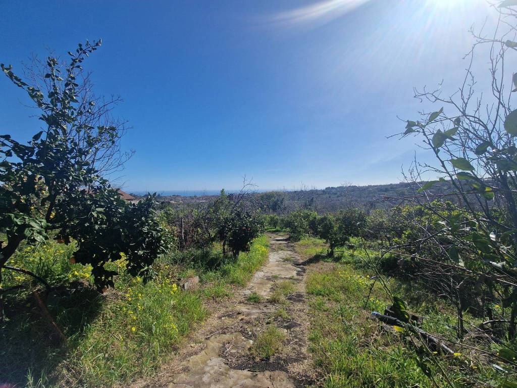 Terreno a Giarre in Via Damasco - Foto 3