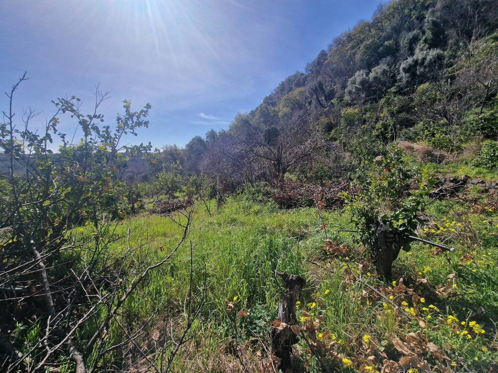 Terreno a Giarre in Via Damasco - Foto 4