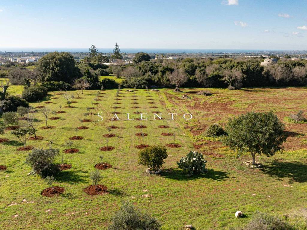 Terreno a Morciano di leuca in Strada Comunale Morciano Barbarano - Foto 3