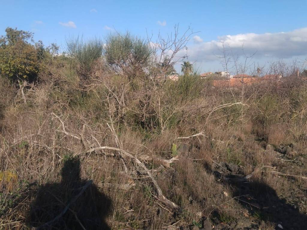 Terreno a Mascalucia - Foto 5