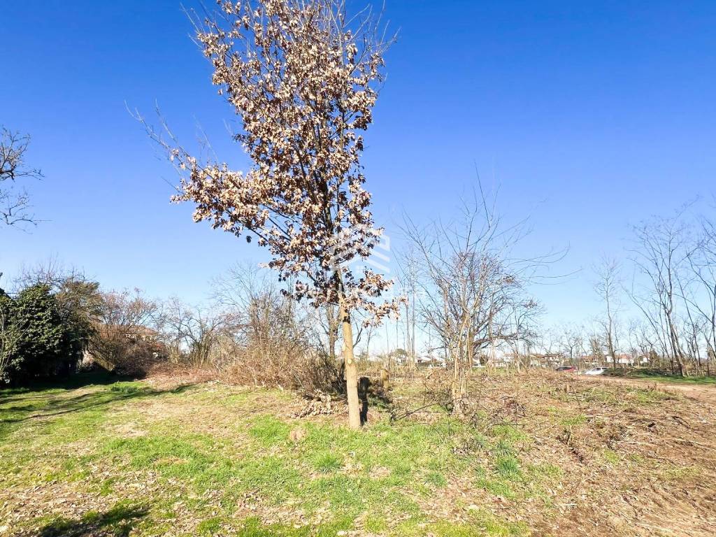 Terreno a Vigevano in Strada San Marco - Foto 5