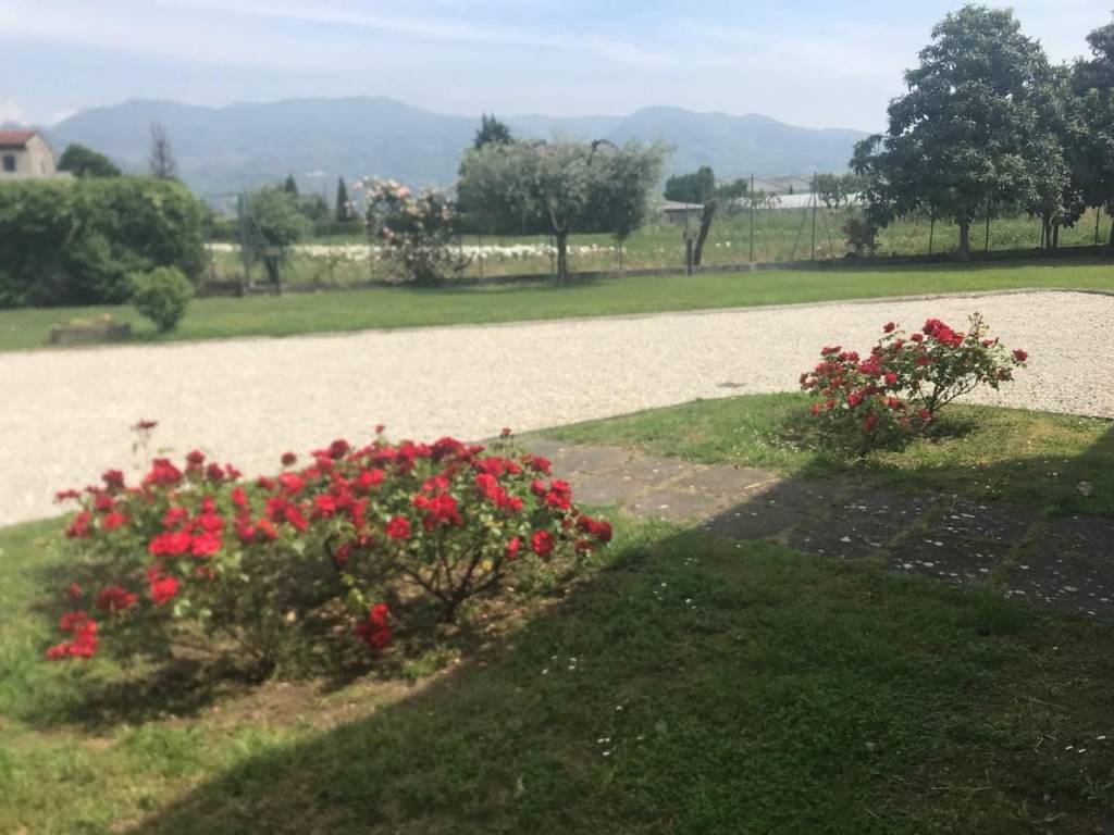 Rustico / casale a Lucca in Via Cecchetti, , 308 - Foto 4