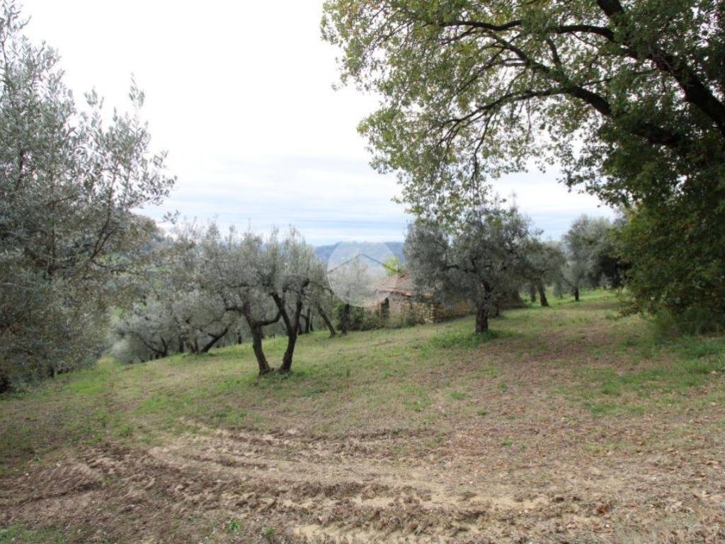 Rustico / casale a Fara in sabina in Via dell'olivone, 10 - Foto 2