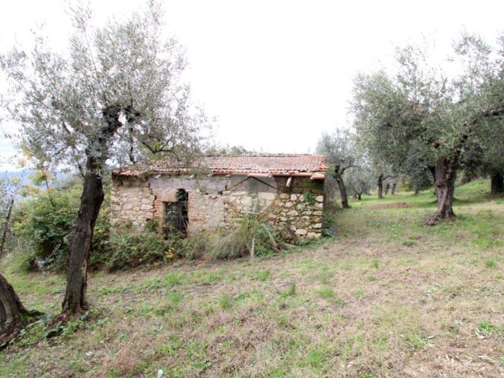 Rustico / casale a Fara in sabina in Via dell'olivone, 10 - Foto 3