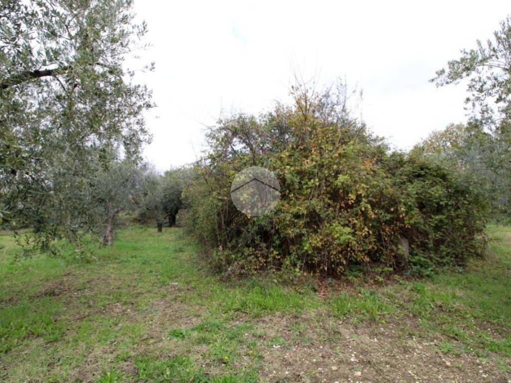 Rustico / casale a Fara in sabina in Via dell'olivone, 10 - Foto 4