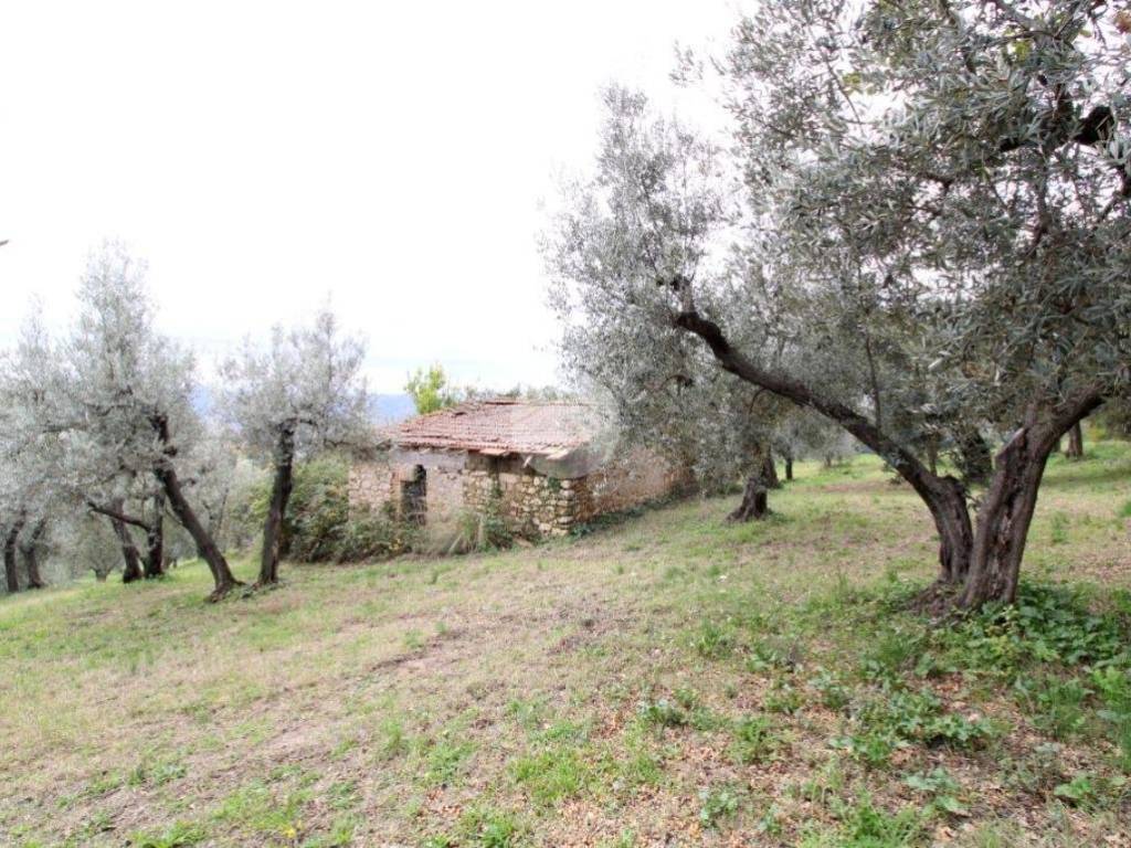 Rustico / casale a Fara in sabina in Via dell'olivone, 10 - Foto 5