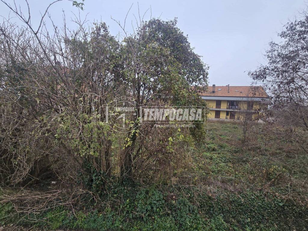 Terreno a Ospedaletto d'alpinolo - Foto 3