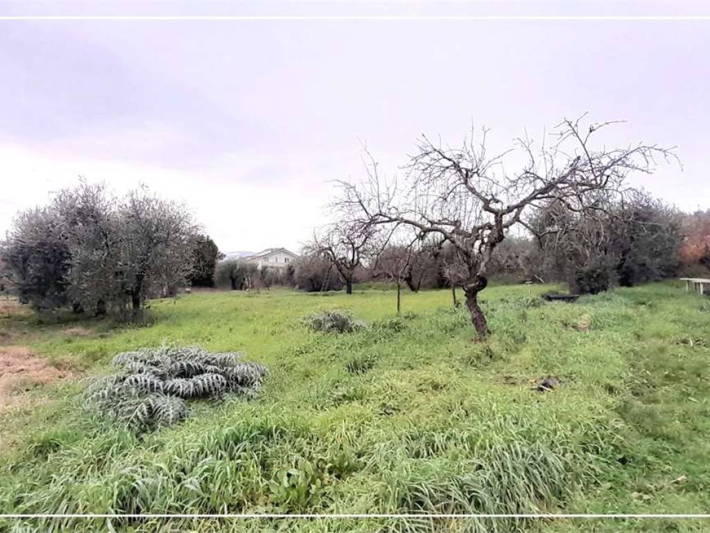 Terreno a Monsummano terme - Foto 2