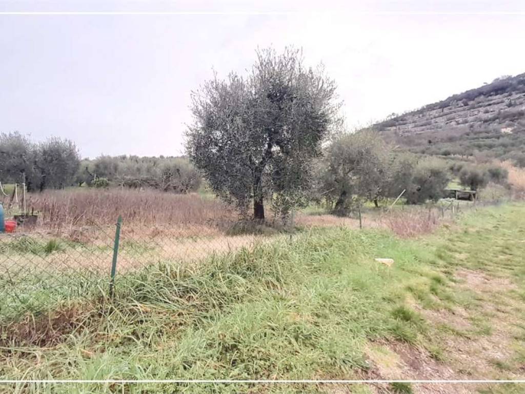Terreno a Monsummano terme - Foto 3