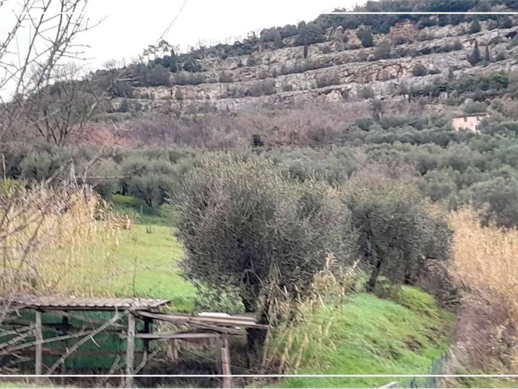 Terreno a Monsummano terme - Foto 5