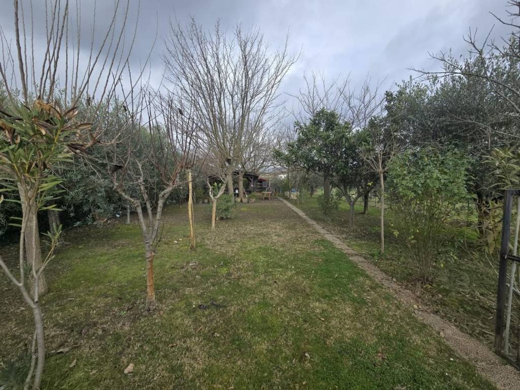 Terreno a Calcinaia - Foto 3