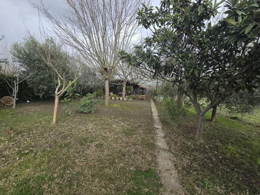 Terreno a Calcinaia - Foto 5