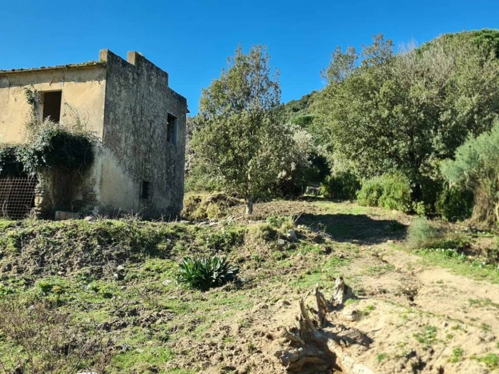 Villa a Campo nell'elba - Foto 3