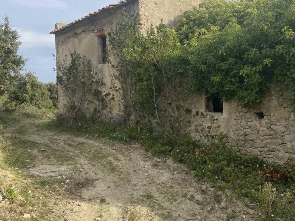 Villa a Campo nell'elba - Foto 4